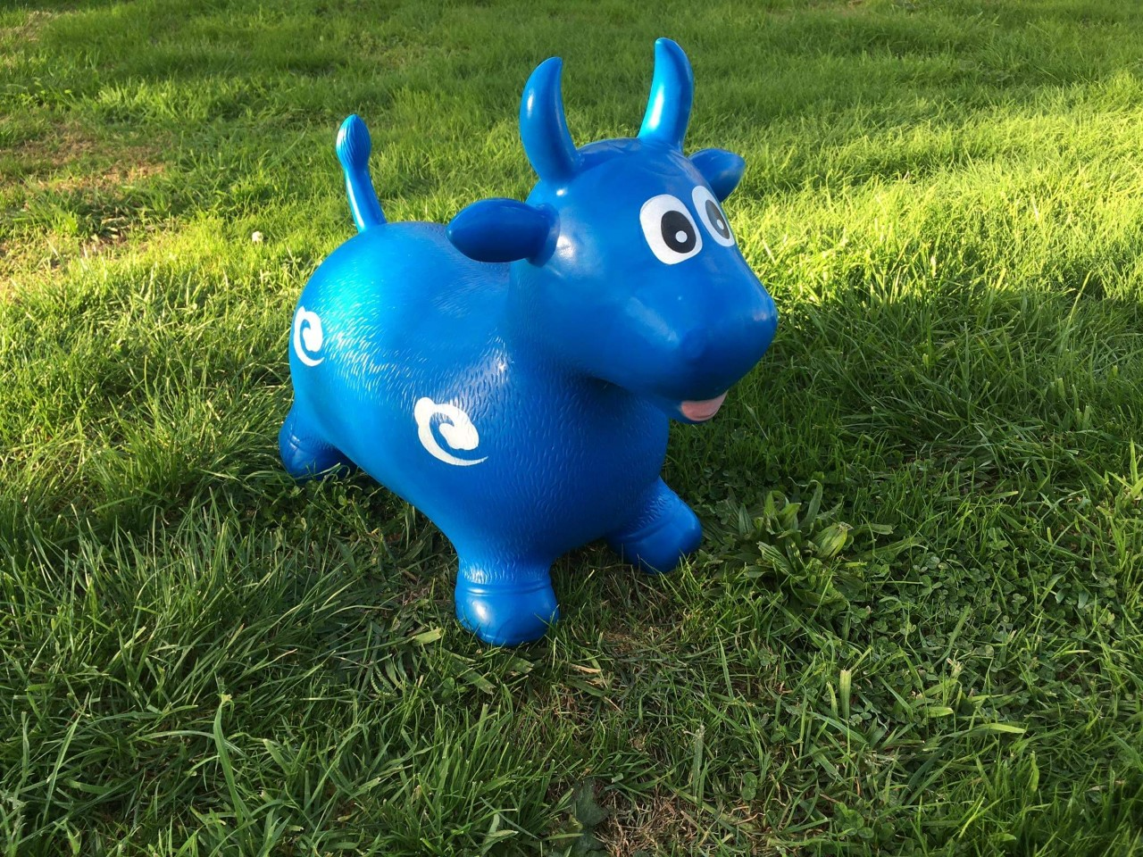 bouncing-cow.png
