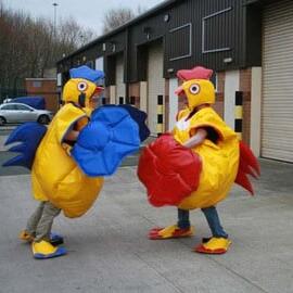 Chicken Sumo Wrestling - ages 11yrs up